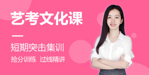 石家莊高三藝考生文化課培訓(xùn)學(xué)校